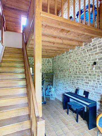 Le Mesnil-Auzouf (14260) UN HERBAGE POUR VOS CHEVAUX !