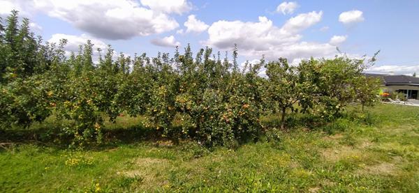 Vic Fezensac 32 Belle Maison T5 + Parc arboré de 8 000m2