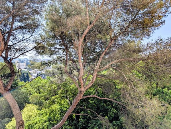 T4 Traversant à Rénover - 6e Étage - Vue Pins & aperçu Mer - Parking & Cave

Situé au sein d’une résidence sécurisée, calme et entretenue, découvrez cet appartement traversant de type 4 d’environ 73 m². 
Perché au 6e étage avec ascenseur, ce bien bénéficie d'un emplacement recherché et d'un fort potentiel de valorisation.
À rénover, cet appartement représente une opportunité idéale pour façonner un intérieur à votre goût, tout en profitant d'une base solide et d'une vue d'exception.

UN POTENTIEL UNIQUE
 - Double séjour lumineux : Une belle pièce de vie ouvrant sur un balcon avec une vue dégagée sur les pins et un aperçu mer.
 - Espace nuit : 3 chambres permettant d'accueillir une famille ou de créer un espace bureau/dressing.
 - Configuration traversante : Une circulation d'air naturelle et une luminosité optimale tout au long de la journée.

LES ANNEXES & COMMODITÉS
 - Stationnement : Une place de parking privative est incluse.
 - Stockage : Une cave d'environ 5m2, saine et privative.
 - Résidence : Copropriété fermée, sécurisée et bien tenue.

LOCALISATION STRATÉGIQUE
Une vie de quartier facilitée avec tout à proximité immédiate :
- Écoles et commerces : Accessibles à pied et/ou en bus.
- Environnement : Cadre verdoyant tout en restant proche des commodités urbaines.

FICHE TECHNIQUE
 - Surface : 72.86 m² (carrez)
 - État : À rénover (prévoir travaux de rafraîchissement/modernisation)
 - Étage : 6e avec ascenseur (copropriété de 8 étages)

Avis aux familles : ce bien à fort potentiel n'attend que votre touche personnelle pour retrouver tout son éclat. À visiter sans tarder !