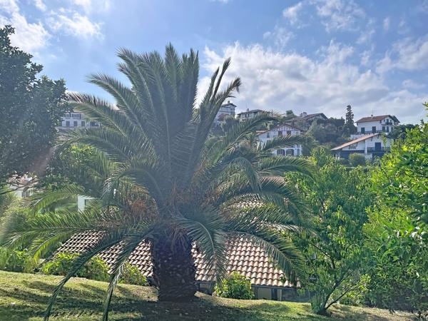 Vente Maison de luxe Ciboure 6 Pièces 170 m²