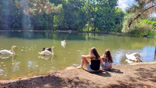 Annonce Immobilière : Grande demeure du XVIIIe siècle à Proximité de la Baie de Saint-Brieuc