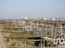 Maison à vendre 4 pièces 51 m² Bouin