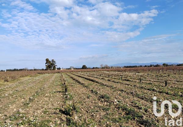 Terrain à vendre 1 863 m² Sainte-Cécile-les-Vignes