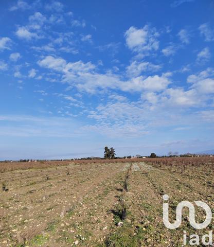 Terrain à vendre 1 863 m² Sainte-Cécile-les-Vignes