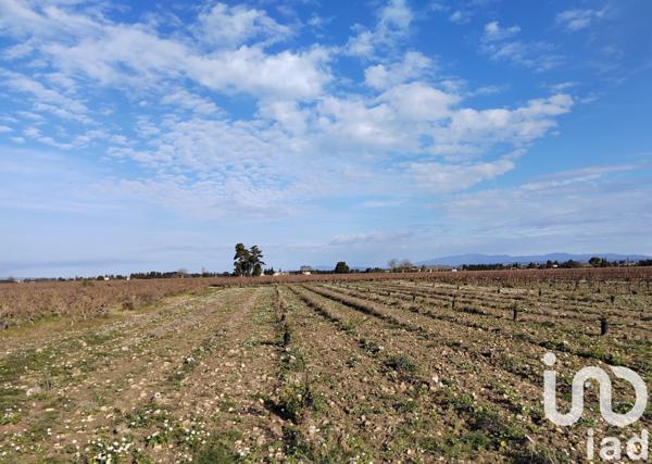 Terrain à vendre 1 863 m² Sainte-Cécile-les-Vignes