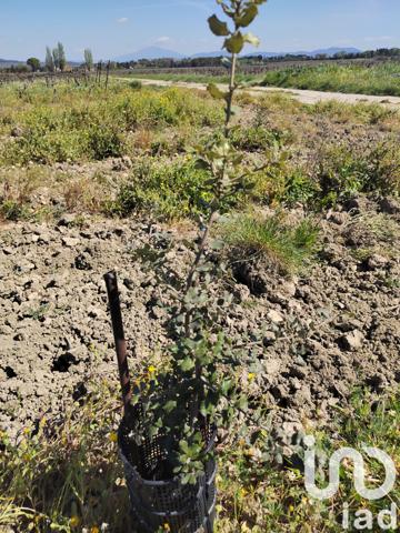 Terrain à vendre 1 863 m² Sainte-Cécile-les-Vignes