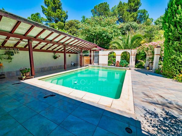 Mas catalan d'exception - Vue Albères, piscine, potentiel familial & libéral à 15 min des plages