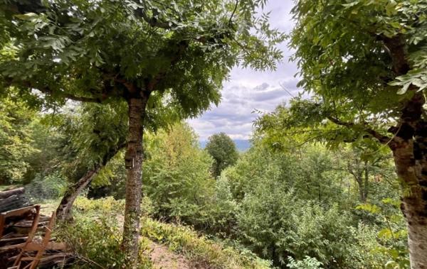 Vente Maison Saurat