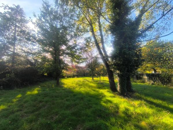Grande maison individuelle sur joli terrain plat clos et arboré