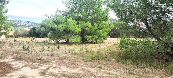 Lotissement de 1 220 m²