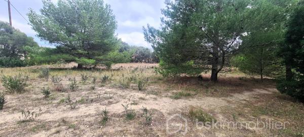 Lotissement de 1 220 m²