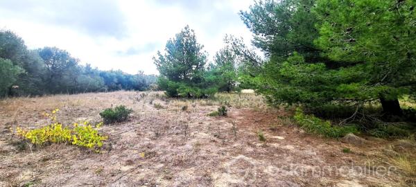 Lotissement de 1 220 m²