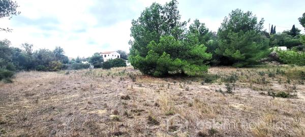 Lotissement de 1 220 m²