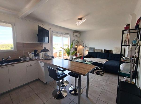 Charmant T3 rénové avec balcon - Vue mer et montagnes