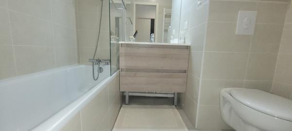 Ivry-sur-Seine (94200) BEAU 4P AVEC TERRASSE DE 50M2 A IVRY SUR SEINE