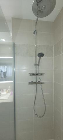 Ivry-sur-Seine (94200) BEAU 4P AVEC TERRASSE DE 50M2 A IVRY SUR SEINE