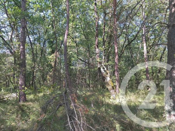 Terrain à vendre  10620 m 2   TABRE  - 09