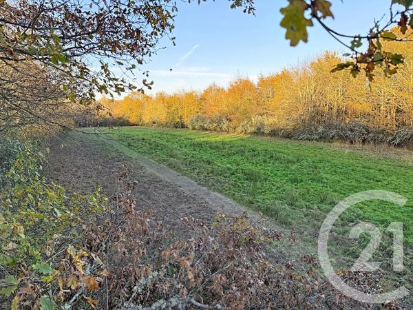 Maison à vendre  6 pièces - 209,04 m2 OLIVET - 45