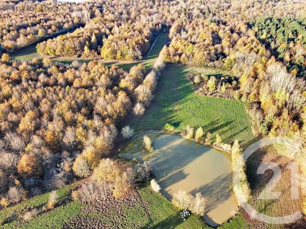 Maison à vendre  6 pièces - 209,04 m2 OLIVET - 45