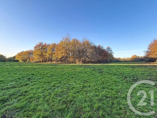 Maison à vendre  6 pièces - 209,04 m2 OLIVET - 45