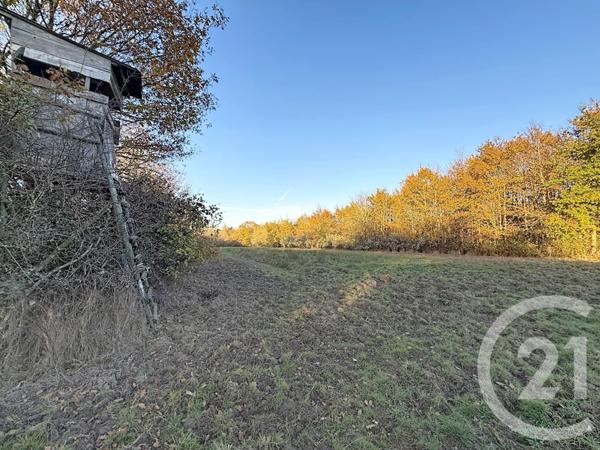 Maison à vendre  6 pièces - 209,04 m2 OLIVET - 45