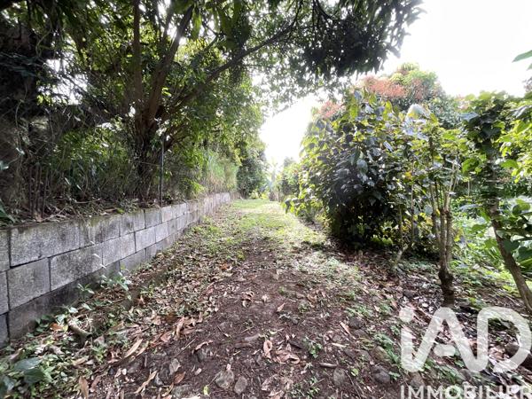 Terrain à vendre 1 100 m² Le Morne-Vert