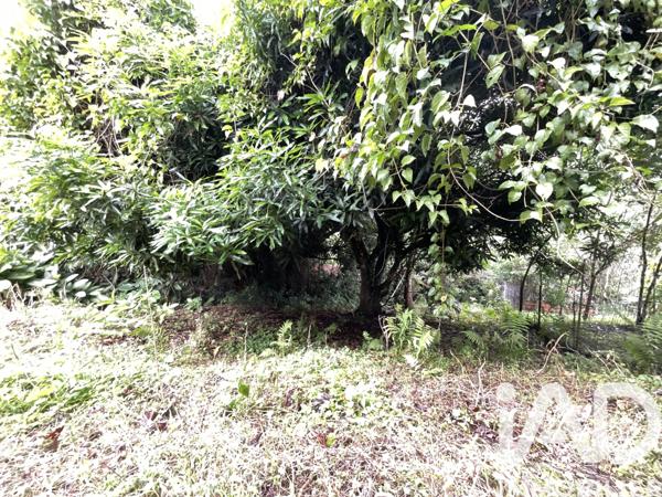 Terrain à vendre 1 100 m² Le Morne-Vert