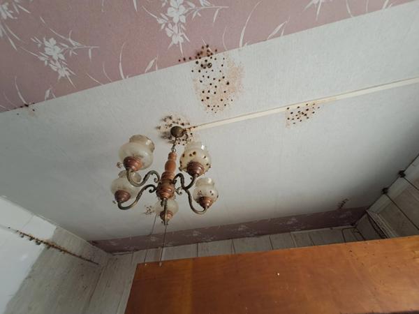 Immeuble à vendre (973)