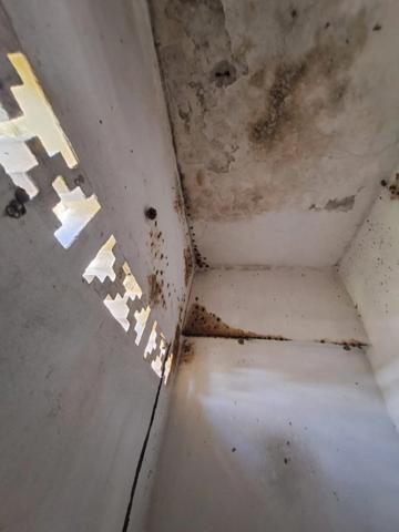 Immeuble à vendre (973)