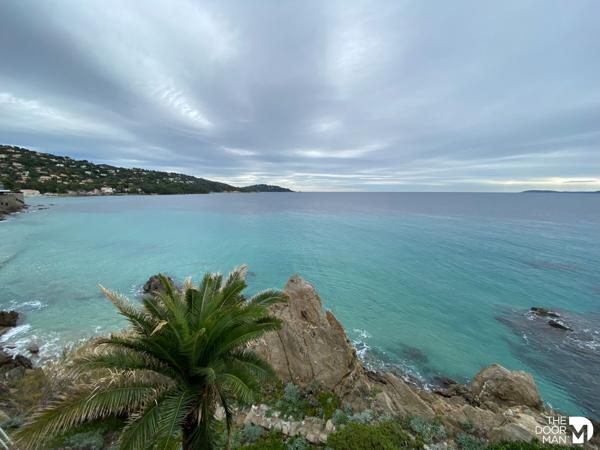 Commerce - À vendre - 850 m² - LE LAVANDOU | The Door Man