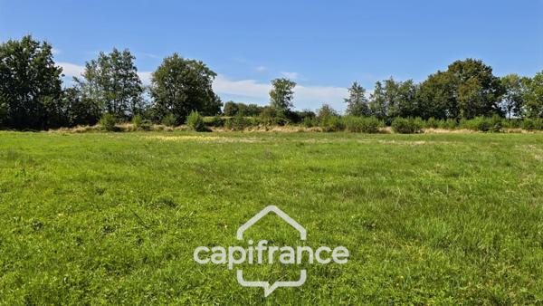 A vendre terrain de 7726 m² à SAINT GERMAIN DU BOIS (71)
