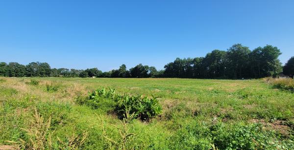 Tercis-les-Bains (40180) Terrain Golf Frais de notaire offerts jusqu'à la fin du mois