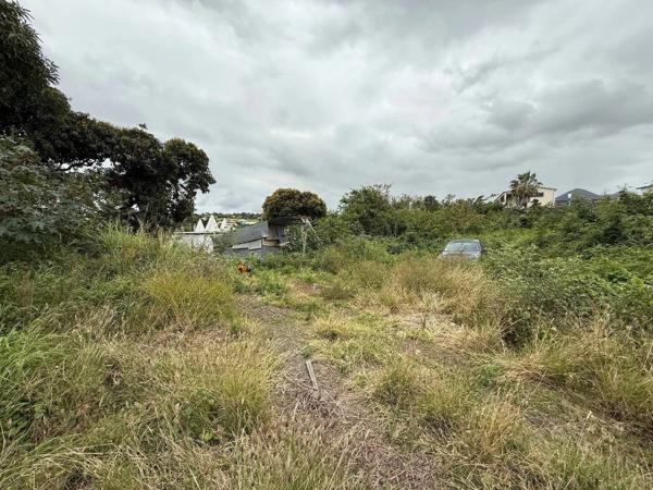 TERRAIN DE 1500 M² À SAINT-PIERRE – ZONE UF