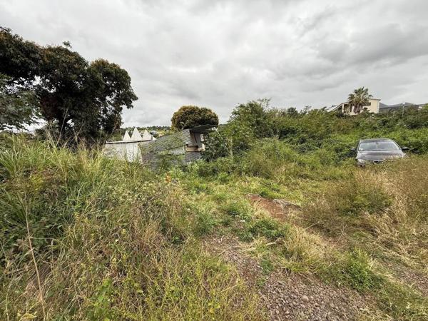 TERRAIN DE 1500 M² À SAINT-PIERRE – ZONE UF