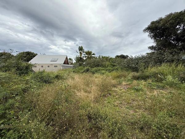 TERRAIN DE 1500 M² À SAINT-PIERRE – ZONE UF