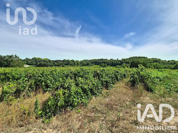 Maison à vendre 6 pièces 196 m² Saint-Pons-de-Mauchiens