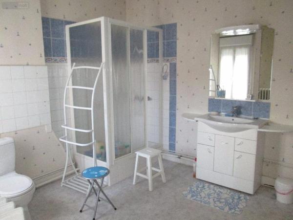 Maison à vendre à Romorantin-Lanthenay dans le Loir-et-Cher (41200), ref : 41036/2885   
centre-ville