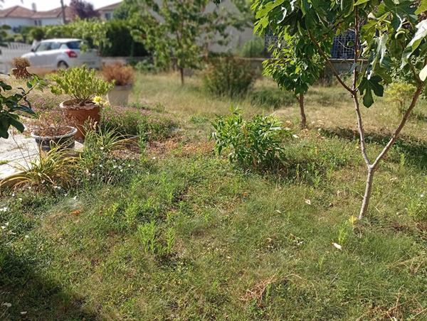 EXCLUSIVITE COURNON Maison 135 m² hab, 4 chs, gge s/480m²