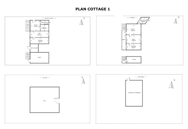 74110 - MORZINE - MONOPROPRIÉTÉ - PROXIMITÉ PISTES DE SKI - RENDEMENT LOCATIF - POTENTIEL D'AMÉNAGEMENT