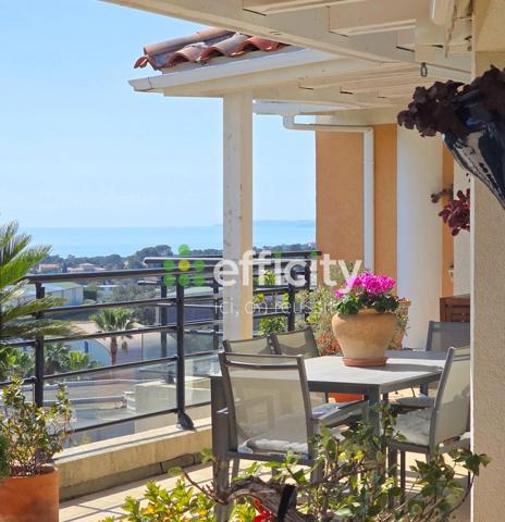 Appartement 3 pièces - 103 m² Exclusivité efficity
