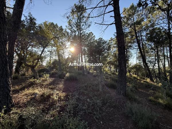 Vente Terrain 1001 m2 à Vidauban