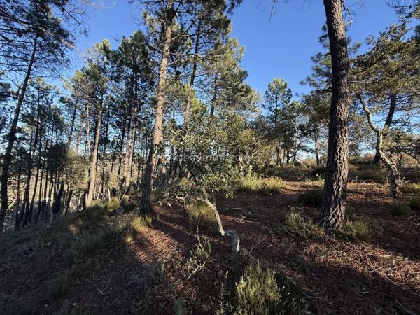 Vente Terrain 1001 m2 à Vidauban