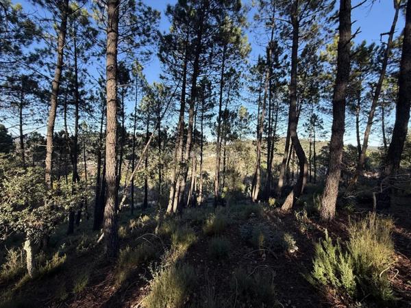 Vente Terrain 1001 m2 à Vidauban