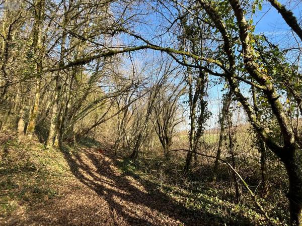 Achat - Terrain à bâtir | Terrain à bâtir Villemorien 10110 3107 m 2