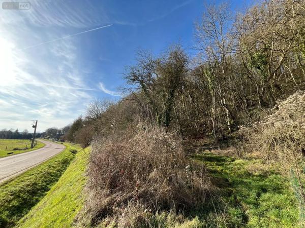 Achat - Terrain à bâtir | Terrain à bâtir Villemorien 10110 3107 m 2
