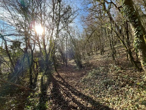 Achat - Terrain à bâtir | Terrain à bâtir Villemorien 10110 3107 m 2