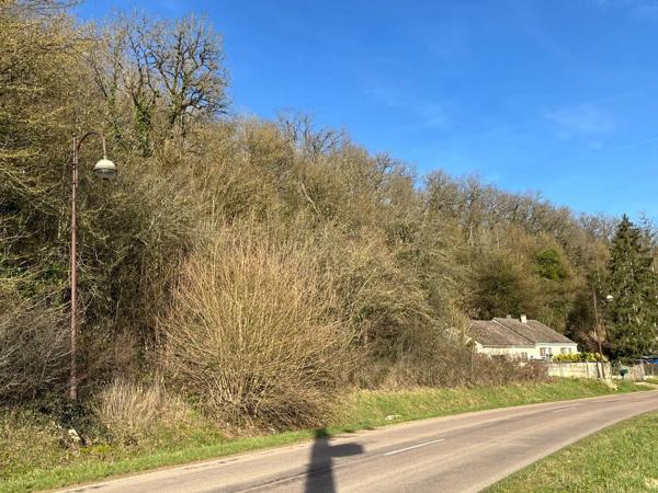 Achat - Terrain à bâtir | Terrain à bâtir Villemorien 10110 3107 m 2
