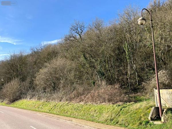 Achat - Terrain à bâtir | Terrain à bâtir Villemorien 10110 3107 m 2