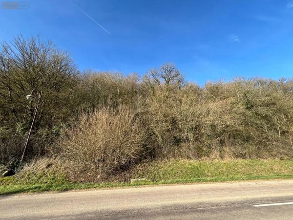 Achat - Terrain à bâtir | Terrain à bâtir Villemorien 10110 3107 m 2