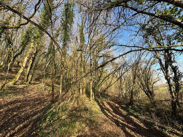 Achat - Terrain à bâtir | Terrain à bâtir Villemorien 10110 3107 m 2